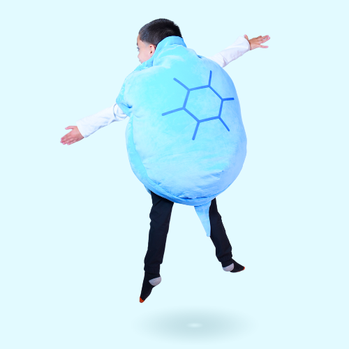 Wearable Turtle Plush