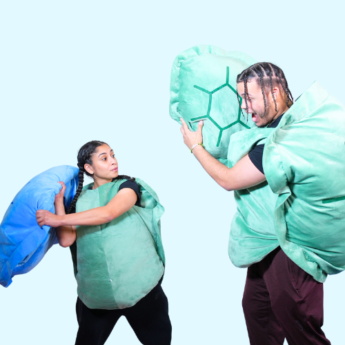 Wearable Turtle Plush