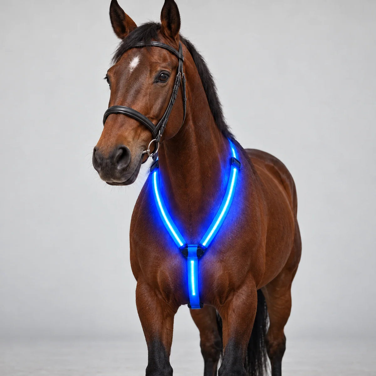 GlowGallop Full Glow Set