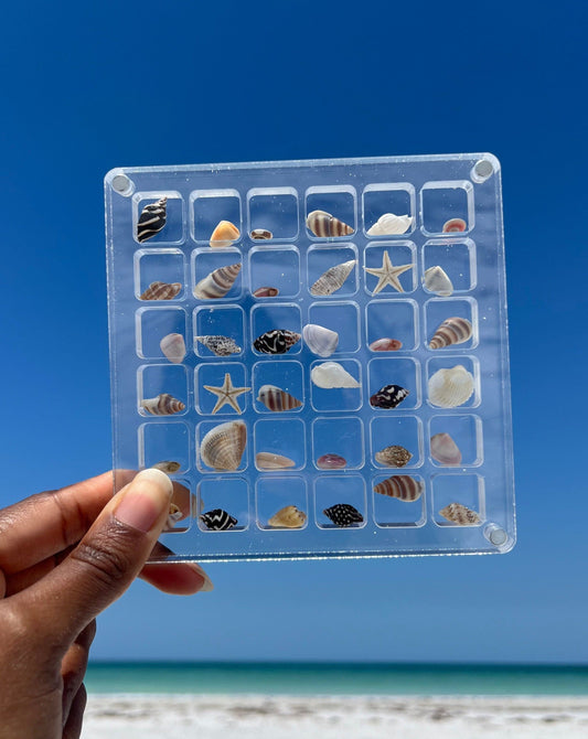 SeaShell Display Case (36 Grid)